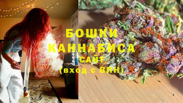 сатива Козловка