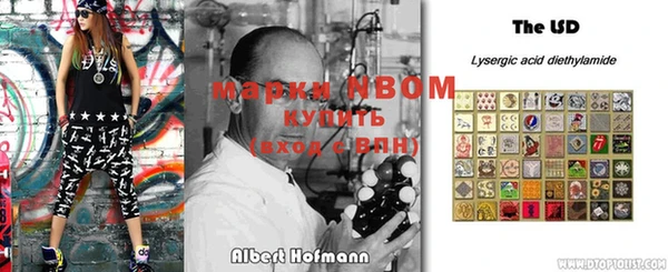 сатива Козловка