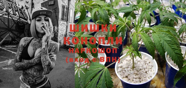 сатива Козловка