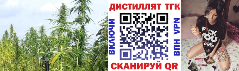 Дистиллят ТГК гашишное масло  Купить  Кологрив 